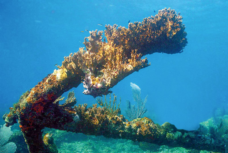 Punta FrancÃ©s. Isla de la Juventud